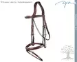 Dyon US Collection Bridle Flash Noseband - Dyon US Collection - USAAAA - 2