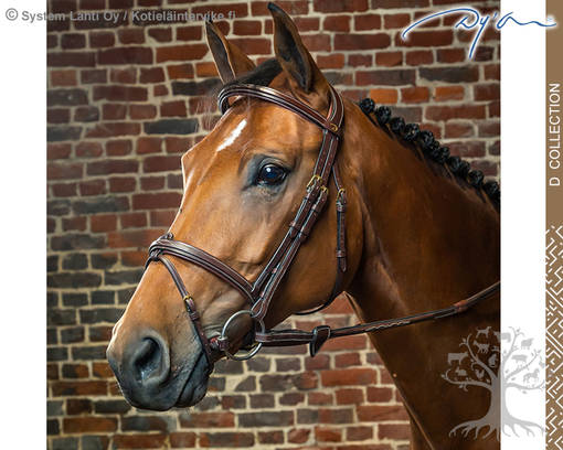 Dyon D Collection Bridle Flash Noseband - Dyon D Collection - 0522DYAAAA - 1