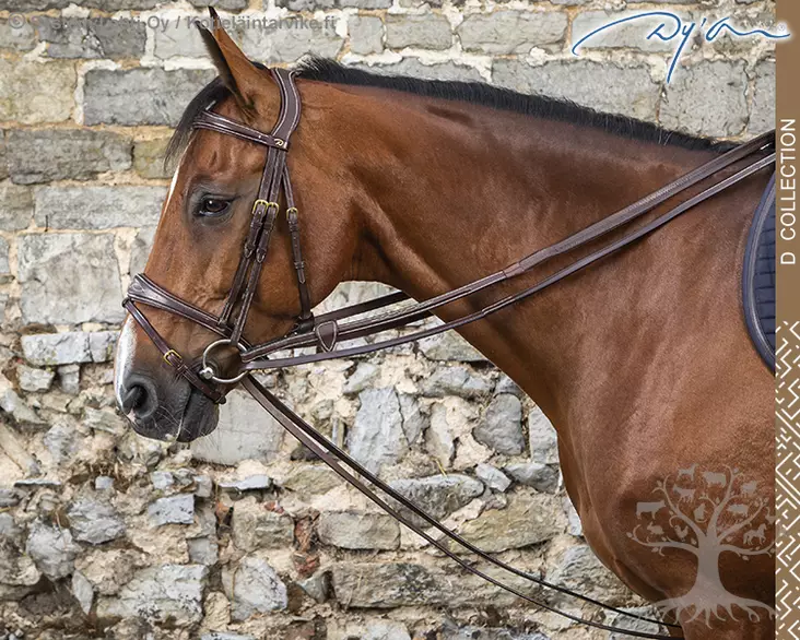 Dyon D Collection Draw Reins Leather 1/2" (13mm) - Dyon D Collection - DY08A - 1