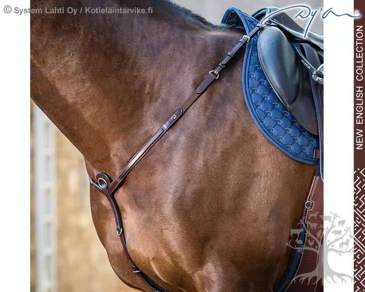 Dyon New English Collection Rintaremmi Flash - Dyon New English - NE06A - 1