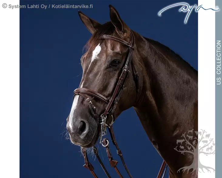 Dyon US Collection Double Bridle Flash Noseband - Dyon US Collection - USLAAA - 1