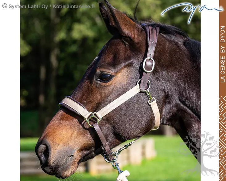 La Cense by Dyon Head Collar 2in1 Travel & Grooming - La Cense by Dyon - CE09A - 1