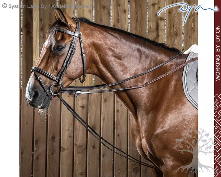 Working by Dyon Gramaanit Leather 1/2" (13mm) - Working by Dyon - WO08A - 1