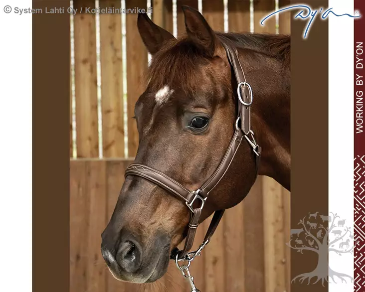 Working by Dyon Riimu Soft Leather 2in1 Travel & Grooming - Working by Dyon - WO09A - 1