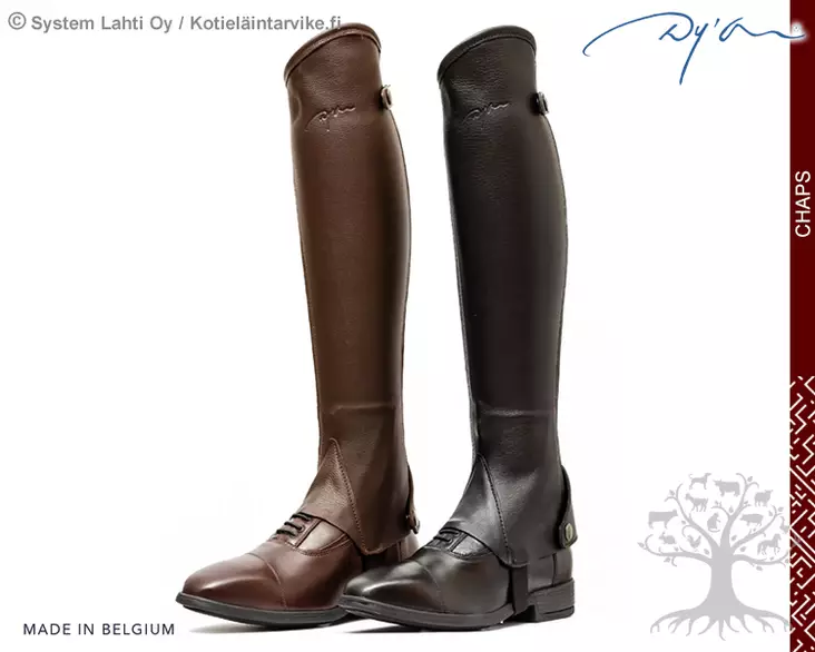 Dyon Minichapsit Half Chaps Classic - Dyon Minichapsit - RI11A - 1