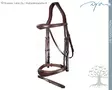 Dyon US Collection Bridle Anatomic Flash Noseband - Dyon US Collection - USABAB - 2