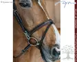 Working by Dyon Bridle Flash Noseband with Snap Cheekpieces - Working by Dyon - WOAPGB - 5