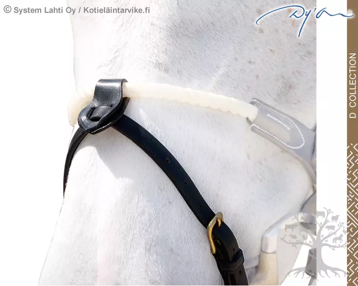 Dyon D Collection Noseband's Strap Flash 1/2" with 2 Removable Attachments - Dyon D Collection - DY99B - 1