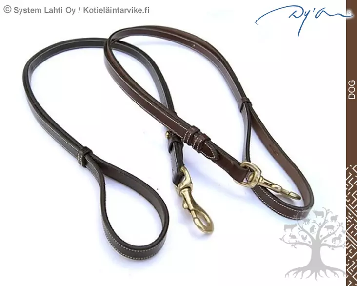 Dyon Dog Nahkatalutin Adjustable Leather Leash - Dyon Dog - DC32B - 1
