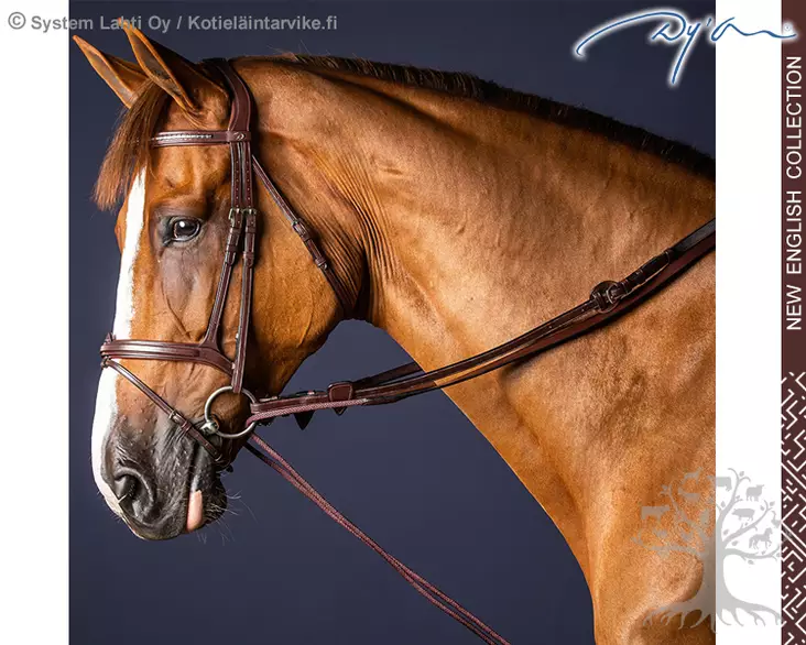 Dyon New English Collection Gramaanit Leather/Nylon 5/8" (16mm) - Dyon New English - NE08B - 1