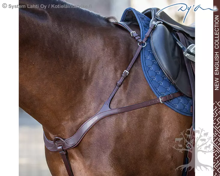 Dyon New English Collection Breastplate Anatomic - Dyon New English - NE06B - 1