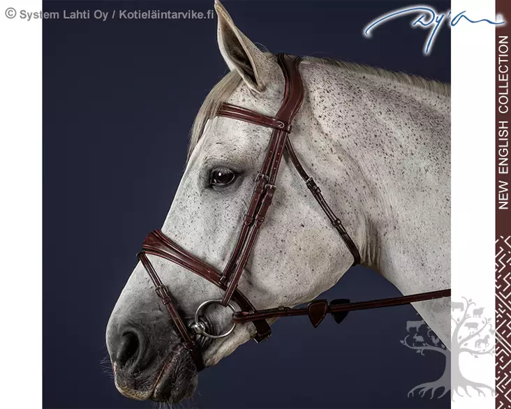 Dyon New English Collection Bridle Anatomic Flash Noseband - Dyon New English - NEABAB - 1