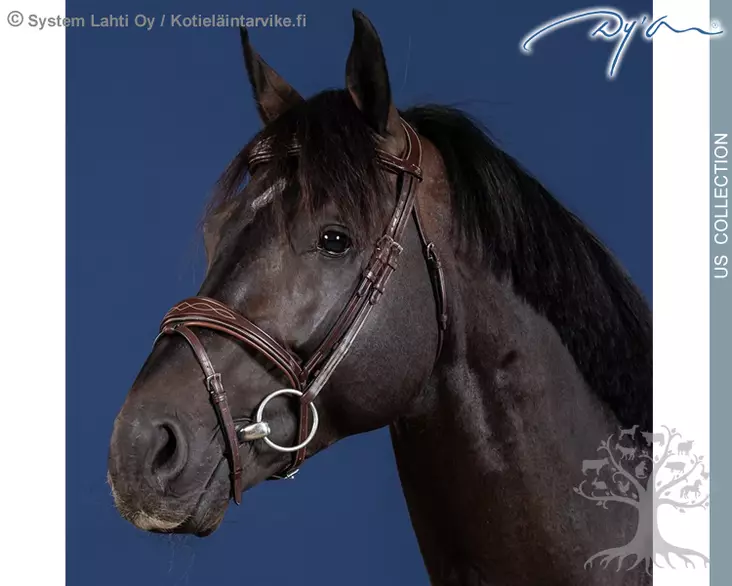 Dyon US Collection Bridle Anatomic Flash Noseband - Dyon US Collection - USABAB - 1