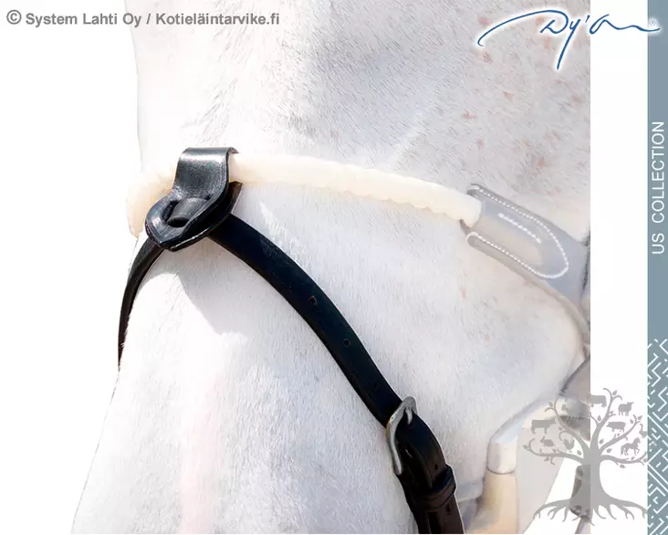 Dyon US Collection Turpahihna (alaturpahihna) Flash 1/2" with 2 Removable Attachments - Dyon US Collection - US99B - 3