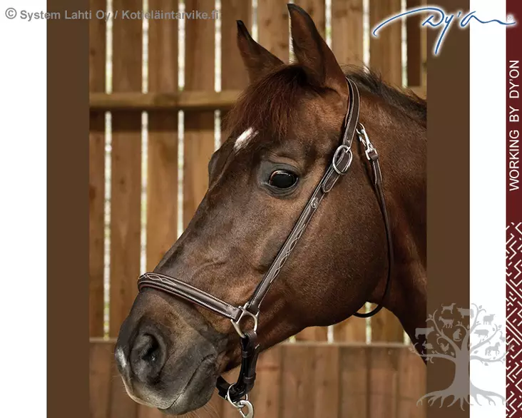 Working by Dyon Head Collar Grooming - Working by Dyon - WO09B - 1