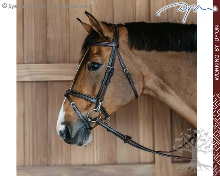 Working by Dyon Bridle Flash Noseband with Snap Cheekpieces - Working by Dyon - WOAPGB - 1