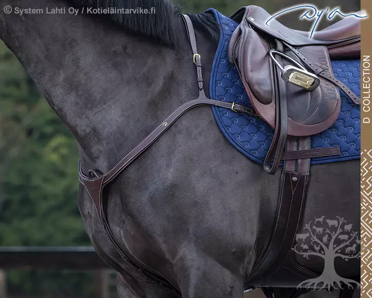 Dyon D Collection Breastplate Long Bridge - Dyon D Collection - DY06C - 1