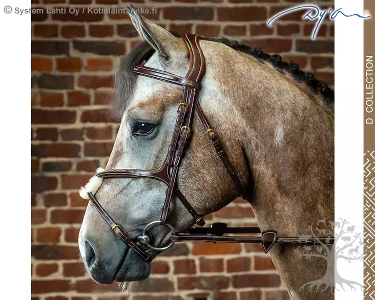 Dyon D Collection Suitset Figure 8 Noseband - Dyon D Collection - DYAAAC - 1