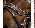Working by Dyon Suitset Fit Noseband - Working by Dyon - WOAPHD - 3