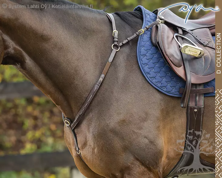 Dyon D Collection Rintaremmi Bridge Flash - Dyon D Collection - DY06D - 1