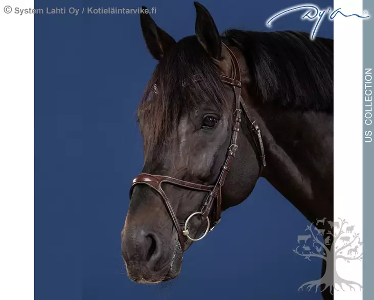 Dyon US Collection Suitset X-Fit - Dyon US Collection - USCCCD - 1