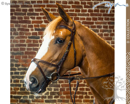 Dyon D Collection Bridle X-Fit - Dyon D Collection - DYCCCD - 1