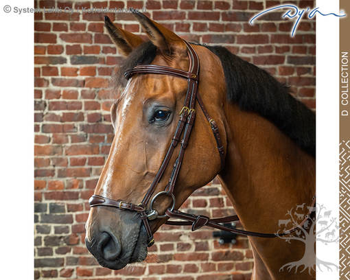 Dyon D Collection Suitset Drop Noseband - Dyon D Collection - DYAAAE - 1
