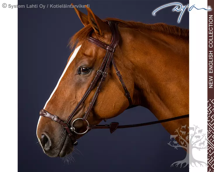 Dyon New English Collection Bridle Drop Noseband - Dyon New English - NEAAAE - 1