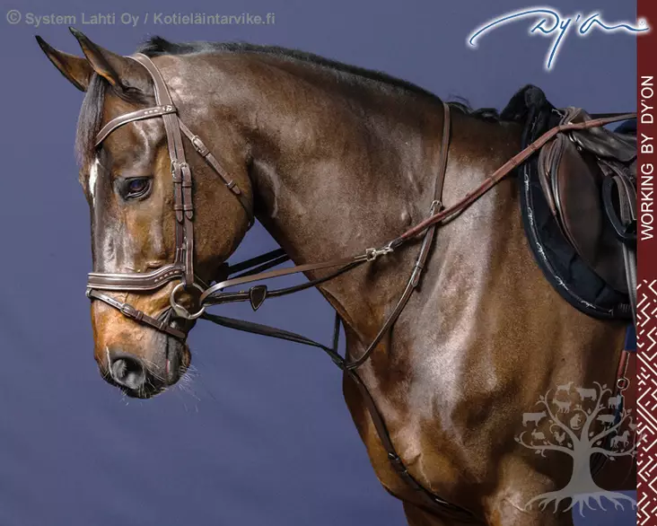 Working by Dyon Howlett (Thiedemann) Training System - Working by Dyon - WO08E - 1