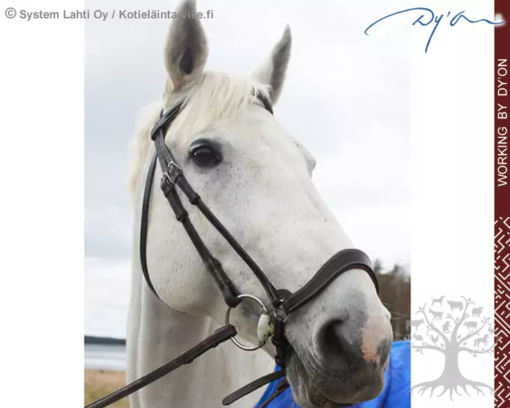 Working by Dyon Turpahihna Drop Anatomic - Working by Dyon - 0523WO04E - 1