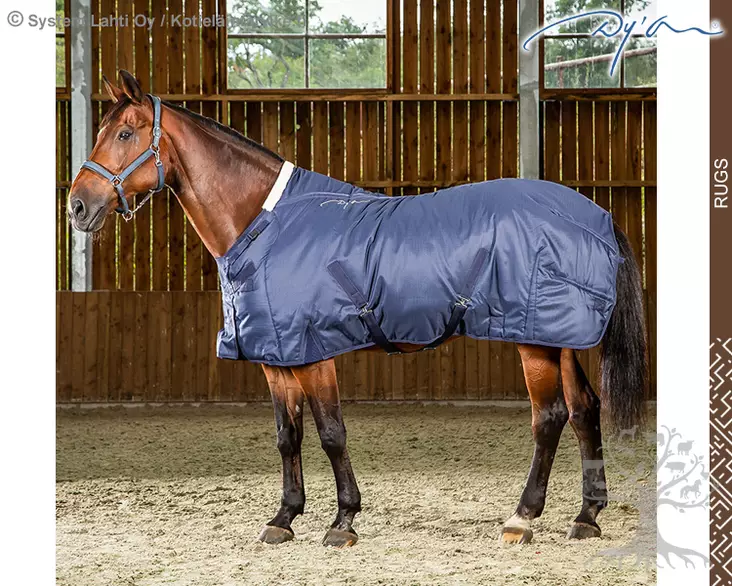 Dyon Tallitoppaloimi Winter 350g/ 1200D Navy - Dyon Rugs - HO21F - 1