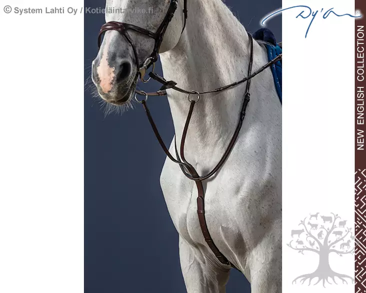 Dyon New English Collection Martingale Running - Dyon New English - NE07G - 1