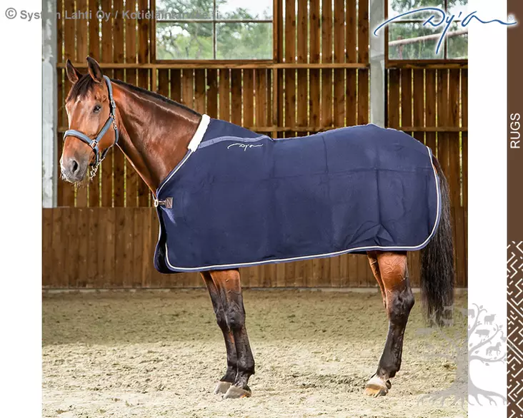 Dyon Villaloimi Merino Navy - Dyon Rugs - HO21G - 1