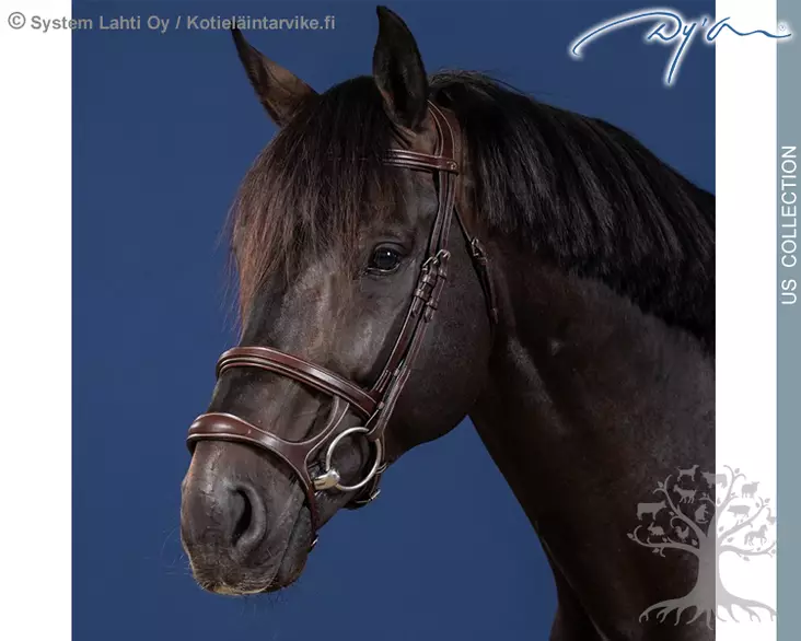 Dyon US Collection Suitset Double Noseband - Dyon US Collection - USAAAH - 1