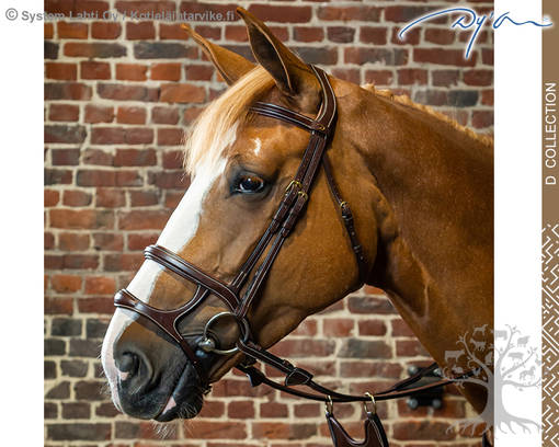 Dyon D Collection Bridle Double Noseband - Dyon D Collection - DYAAAH - 1