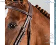 Dyon US Hunter Collection Suitset Cavesson Noseband - Dyon US Collection - USKDAJ - 4