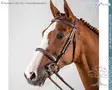 Dyon US Hunter Collection Suitset Cavesson Noseband - Dyon US Collection - USKDAJ - 5