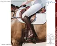 Dyon Half Chaps Classic Show - Dyon Half Chaps - RI11J - 4