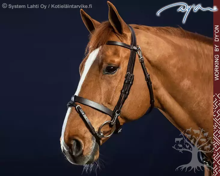 Working by Dyon Suitset Flat Leather Noseband - Working by Dyon - WOJOGJ - 1