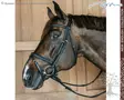 Dyon New English Collection Suitset Plaited Flash Noseband - Dyon New English - NEAOAK - 4