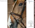 Dyon New English Collection Suitset Plaited Flash Noseband - Dyon New English - NEAOAK - 6