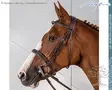 Dyon US Hunter Collection Bridle Cavesson Wide Noseband - Dyon US Collection - USKOAK - 5
