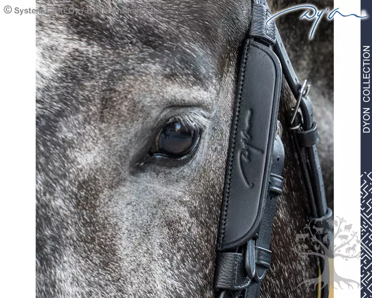 Dyon Collection Silmälaput Blinkers - Dyon Accessories - AB99K - 1