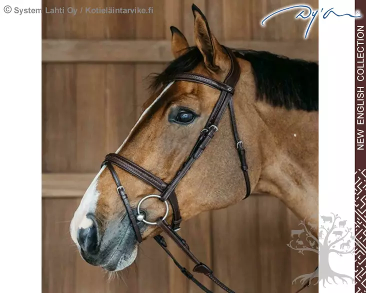 Dyon New English Collection Suitset Plaited Flash Noseband - Dyon New English - NEAOAK - 1