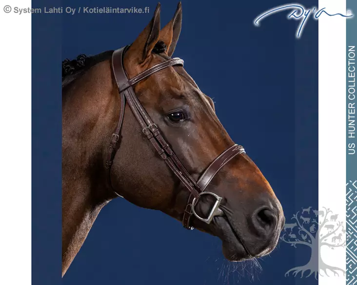 Dyon US Hunter Collection Bridle Cavesson Wide Noseband - Dyon US Collection - USKOAK - 1