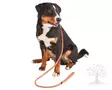 Kerbl Pet Slip Leash Maxi Safe 12mm x 170cm - Nylon Leashes - 81079L - 3
