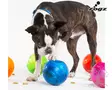 Rogz Aktivointipallo Tumbler 13cm - Activation Toys - 635.6323L - 7