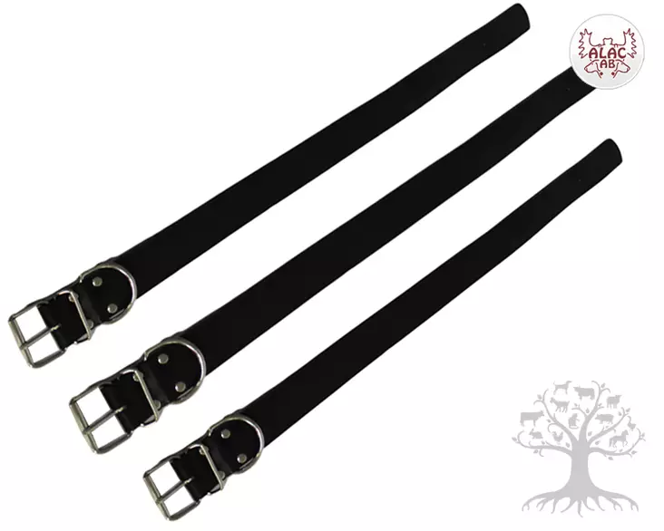 Alac Nahkapanta Jumbo, 50mm. - Leather Collars - JU708090L - 1