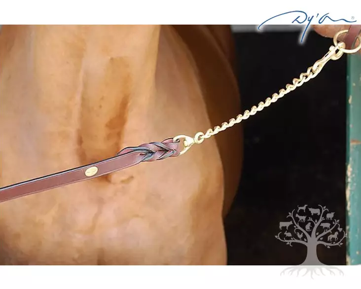 Dyon Collection B834 Nahkainen Riimunnaru Brass - Dyon D Collection - 05070834L - 1