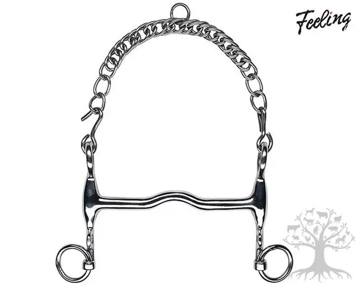 Feeling Weymouth Mullen Port - Weymouth  - 603048L - 1